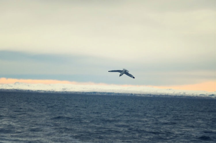 Around Iceland - thecardiffcwtch