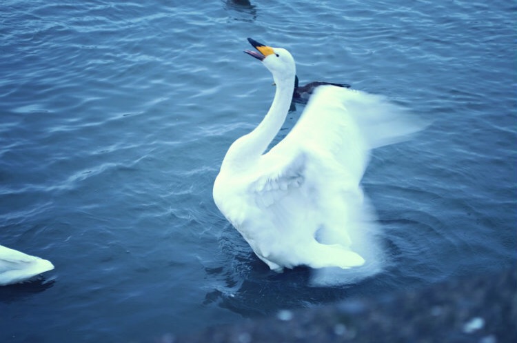 Around Iceland - thecardiffcwtch