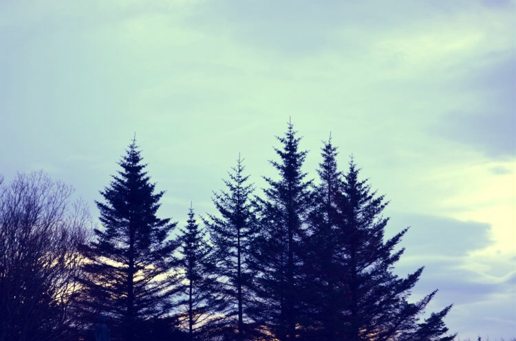 Around Iceland - thecardiffcwtch