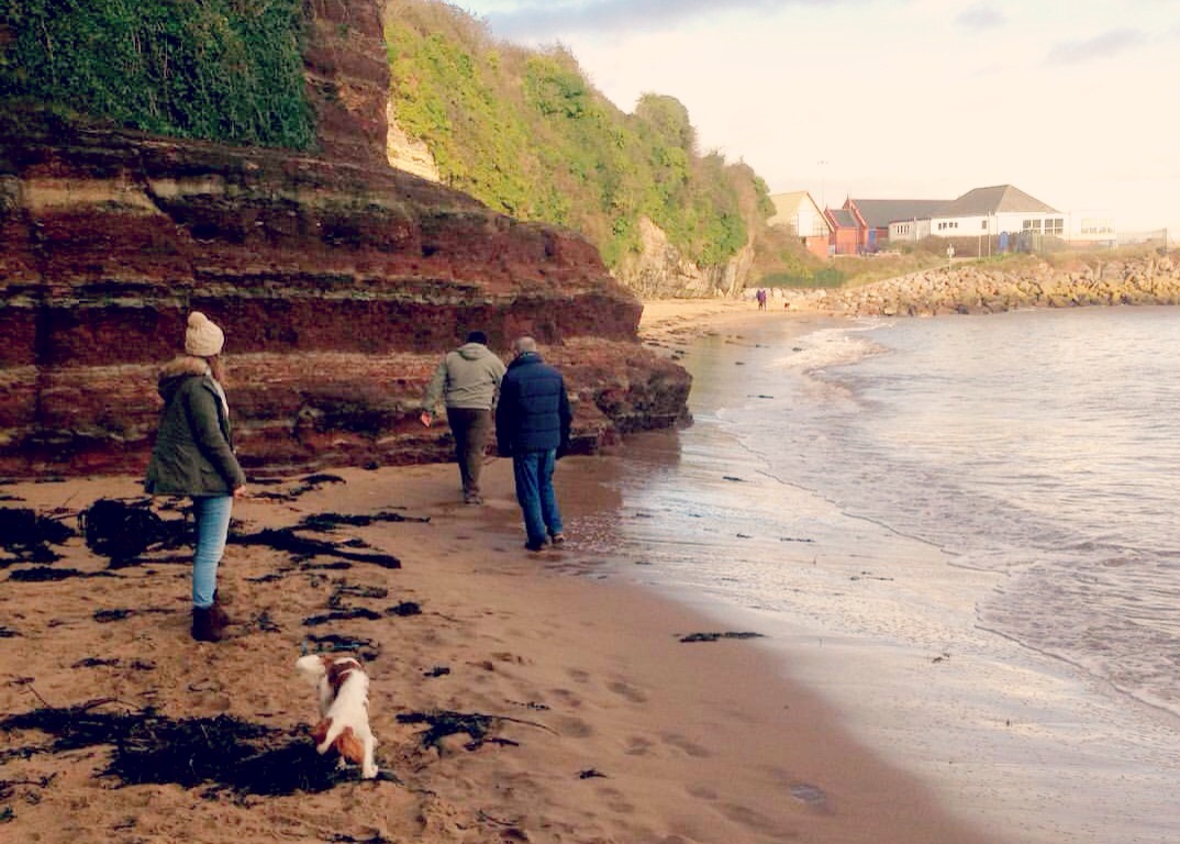 Jackson Bay to Barry - theCardiffCwtch