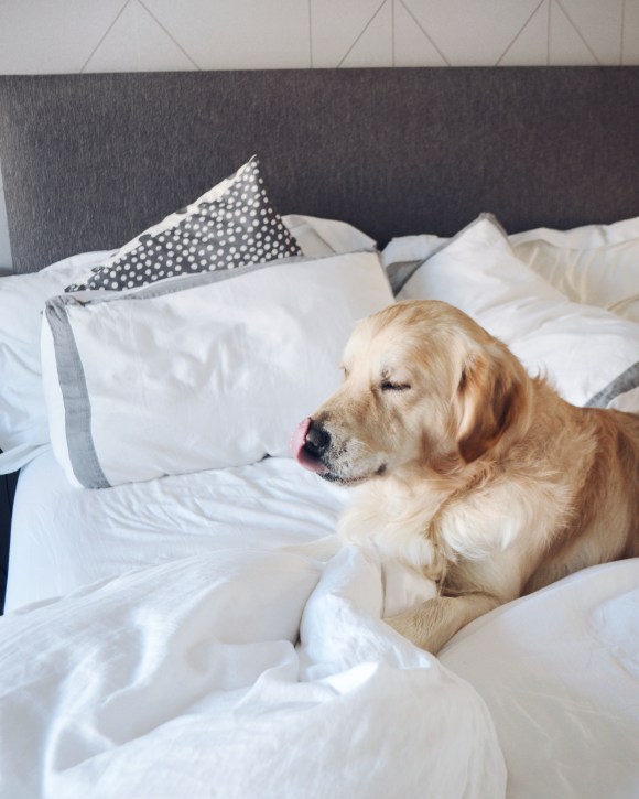 Processed with VSCO with a5 preset