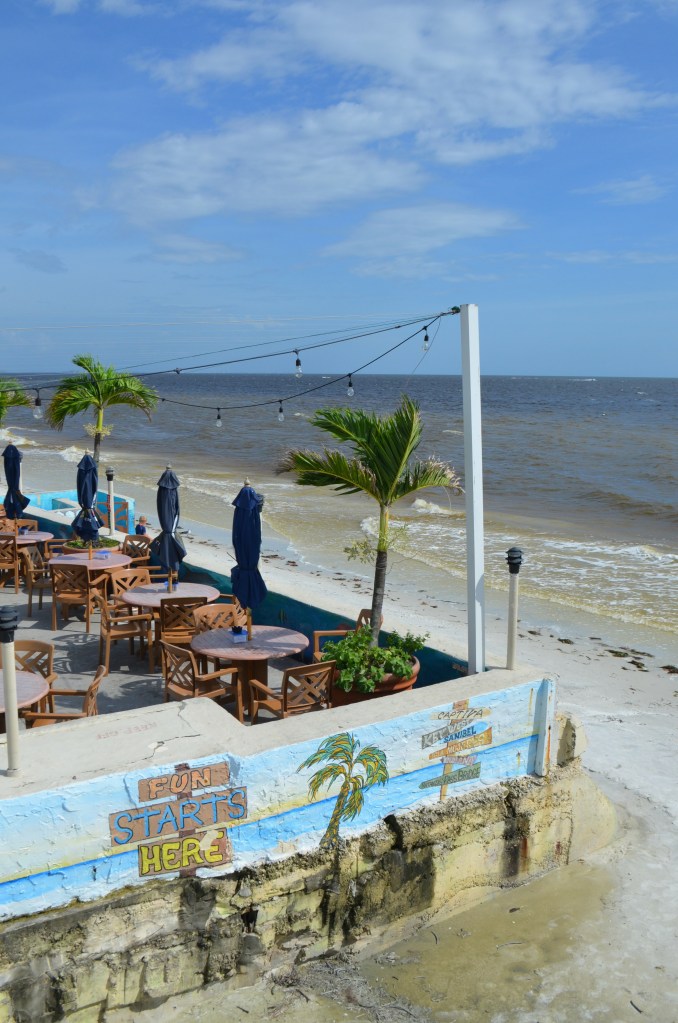 Snapshots from Florida