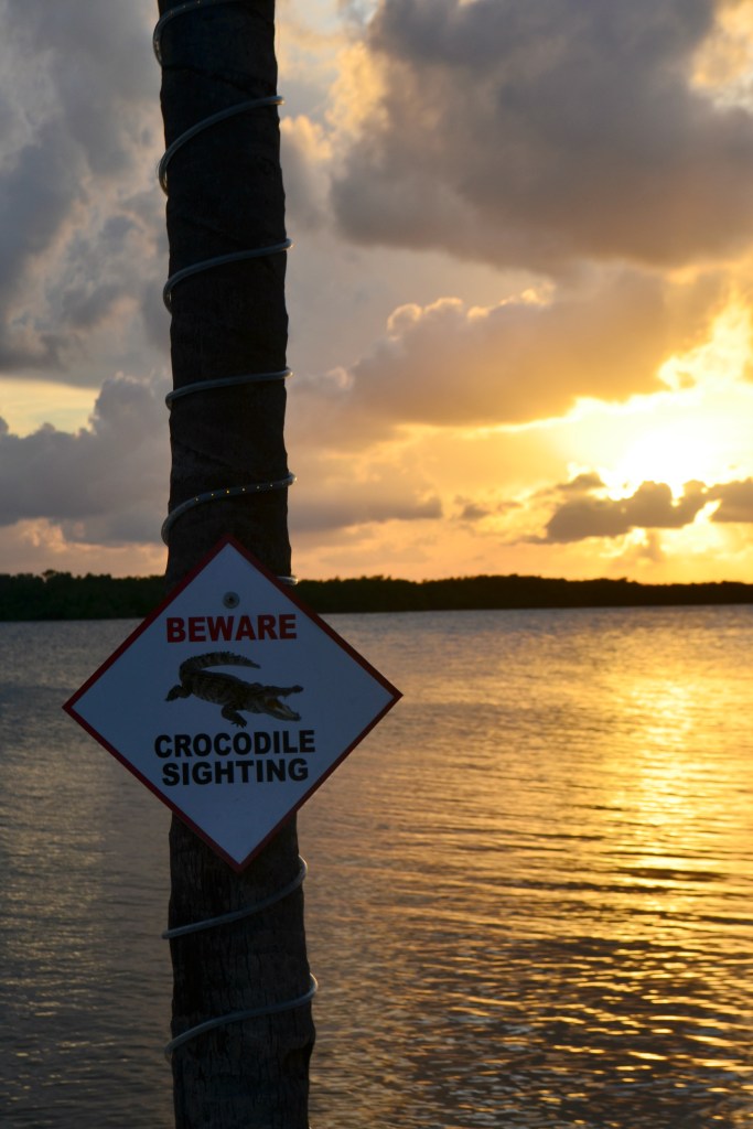 Snapshots from Florida