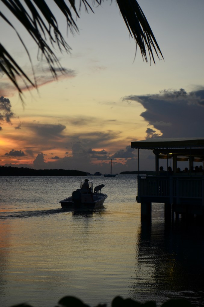 Snapshots from Florida