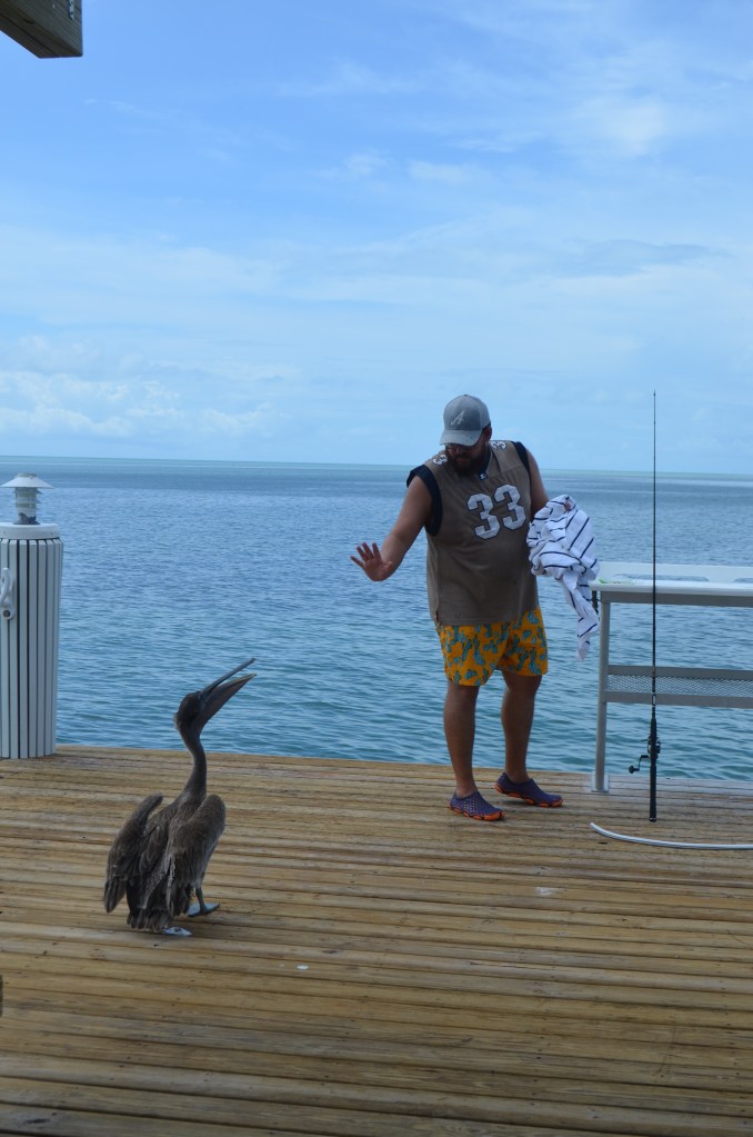 Snapshots from Florida