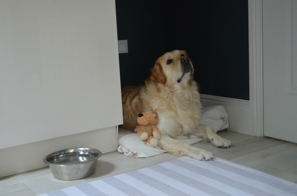 Utility Room Dog Bed - The Cardiff Cwtch