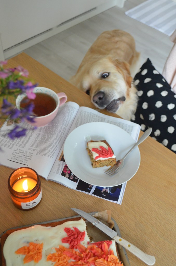 The Cardiff Cwtch: Cosy Slice of Carrot Cake with a Cuppa and a Pupper!