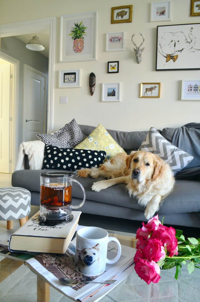 5 Things I've Been Loving Lately - The Cardiff Cwtch - IngenuiTEA Teapot Review