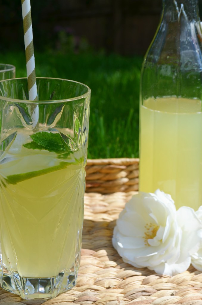 Fresh Limeade - The Cardiff Cwtch - Female Welsh Bloggers